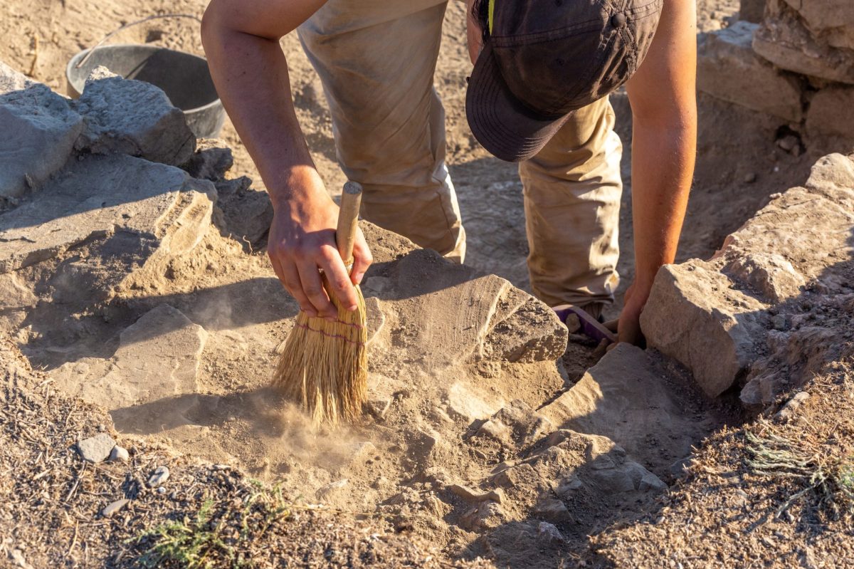 Mann grÃ¤bt an einem archÃ¤ologischen Fund.