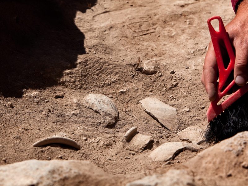 HÃ¤nde arbeiten an einem archÃ¤ologischen Fund.