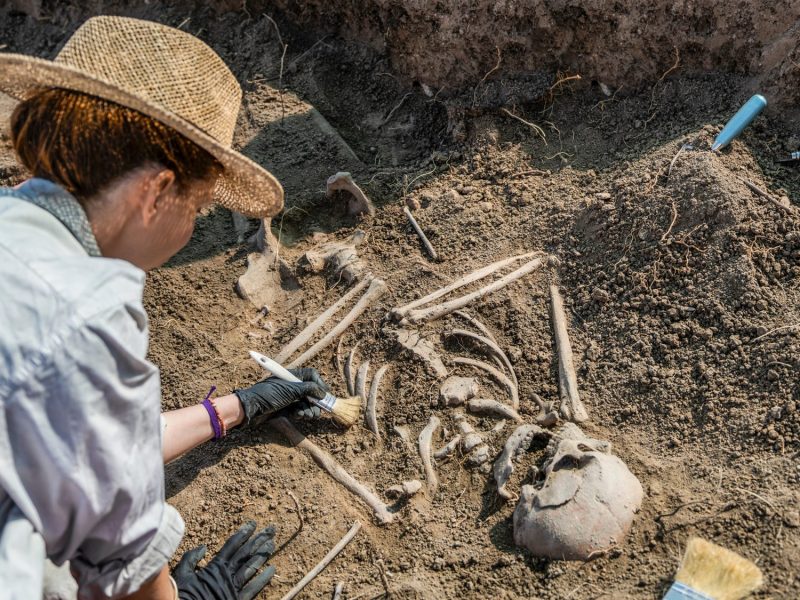 Frau arbeitet an einem archÃ¤ologischen Fund.