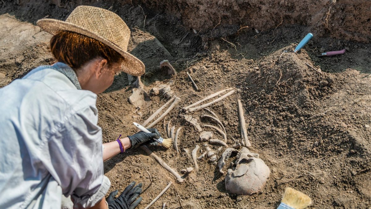 Frau arbeitet an einem archÃ¤ologischen Fund.