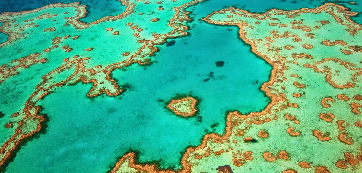 Great Barrier Reef von oben