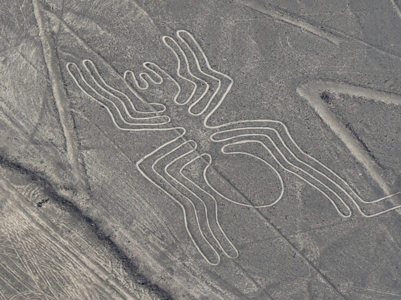 Nazca-Linien-Bild im WÃ¼stenboden von Peru. Es hat die Form einer Spinne.