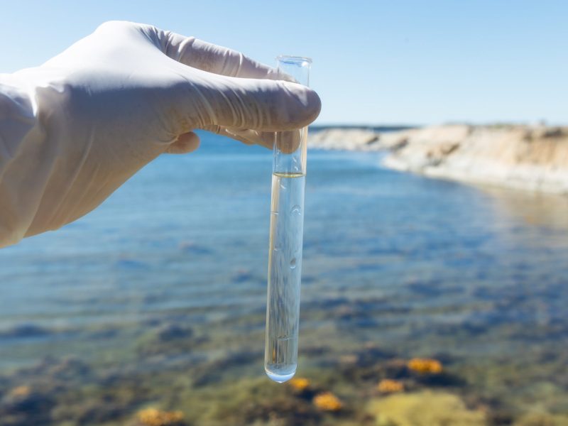 Eine Hand hÃ¤lt eine Wasserprobe in einem GlasrÃ¶hrchen. Im Hintergrund ist ein Ostseestrand zu sehen.