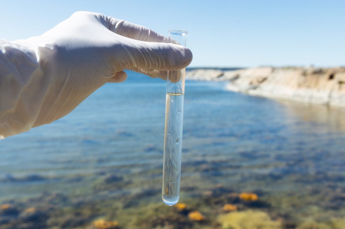 Eine Hand hÃ¤lt eine Wasserprobe in einem GlasrÃ¶hrchen. Im Hintergrund ist ein Ostseestrand zu sehen.