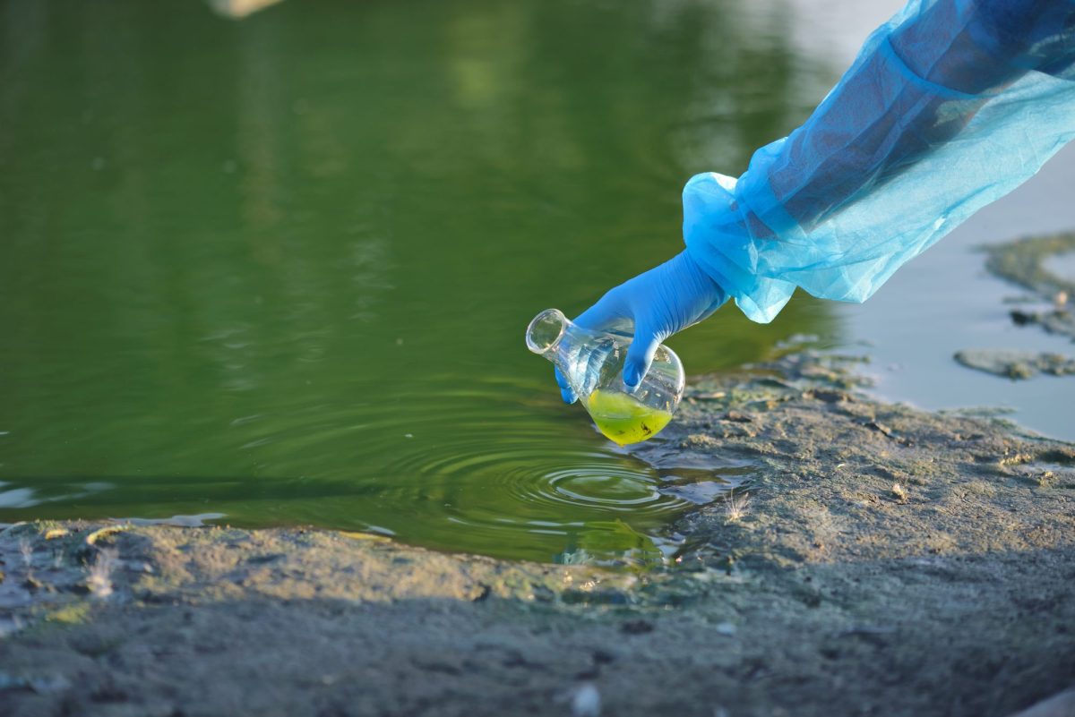 Person entnimmt eine Probe in einem Glas aus einem Gewässer.