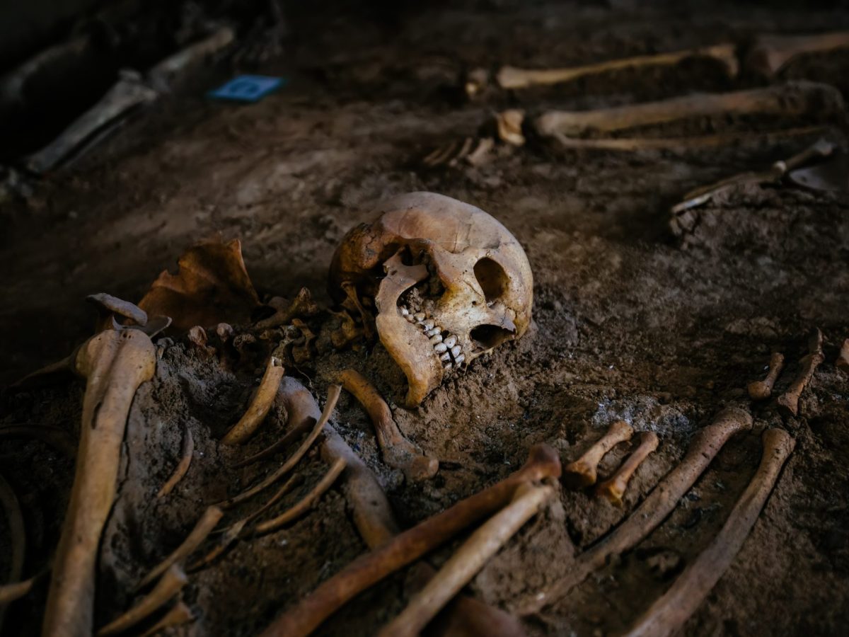 Skelett als archäologischer Fund.