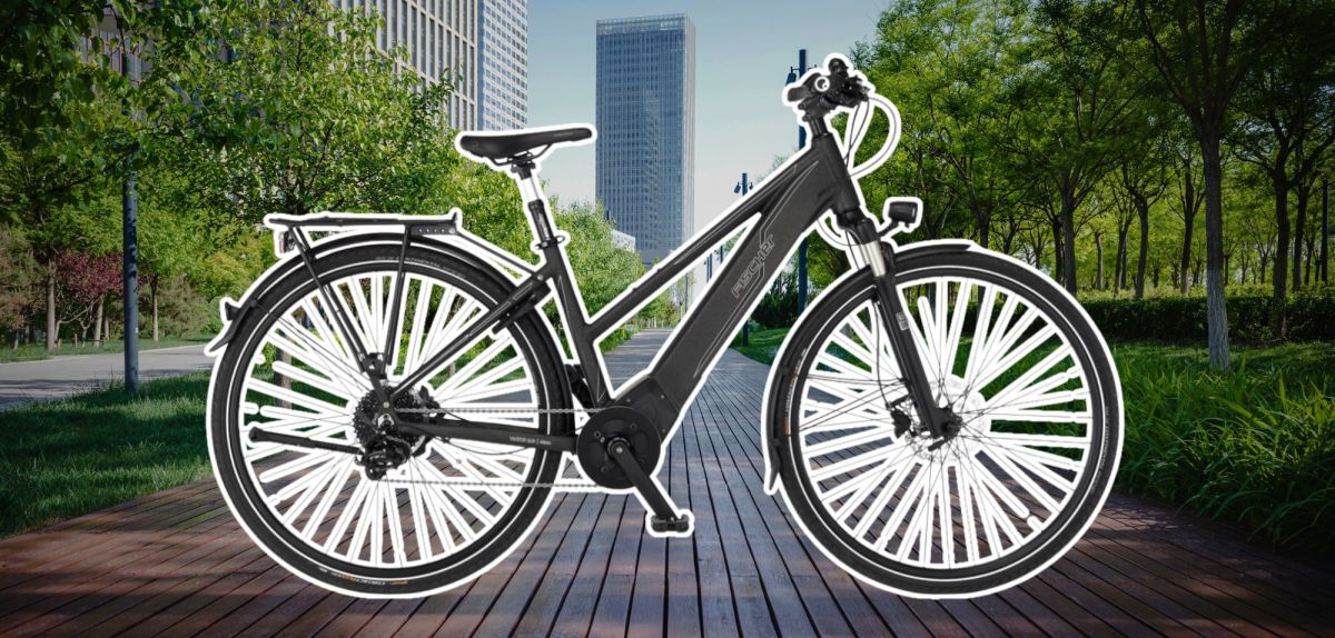 Fischer Viator 6.0i vor einem Parkweg