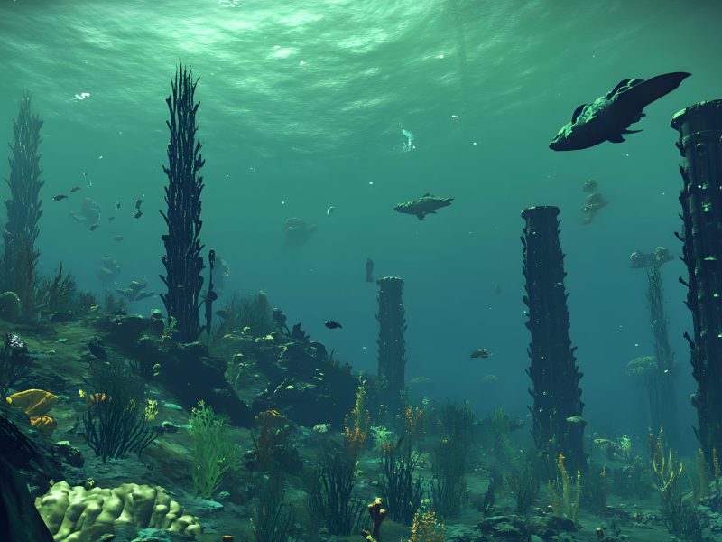 Unterwasserwelt mit Fischen und Algen