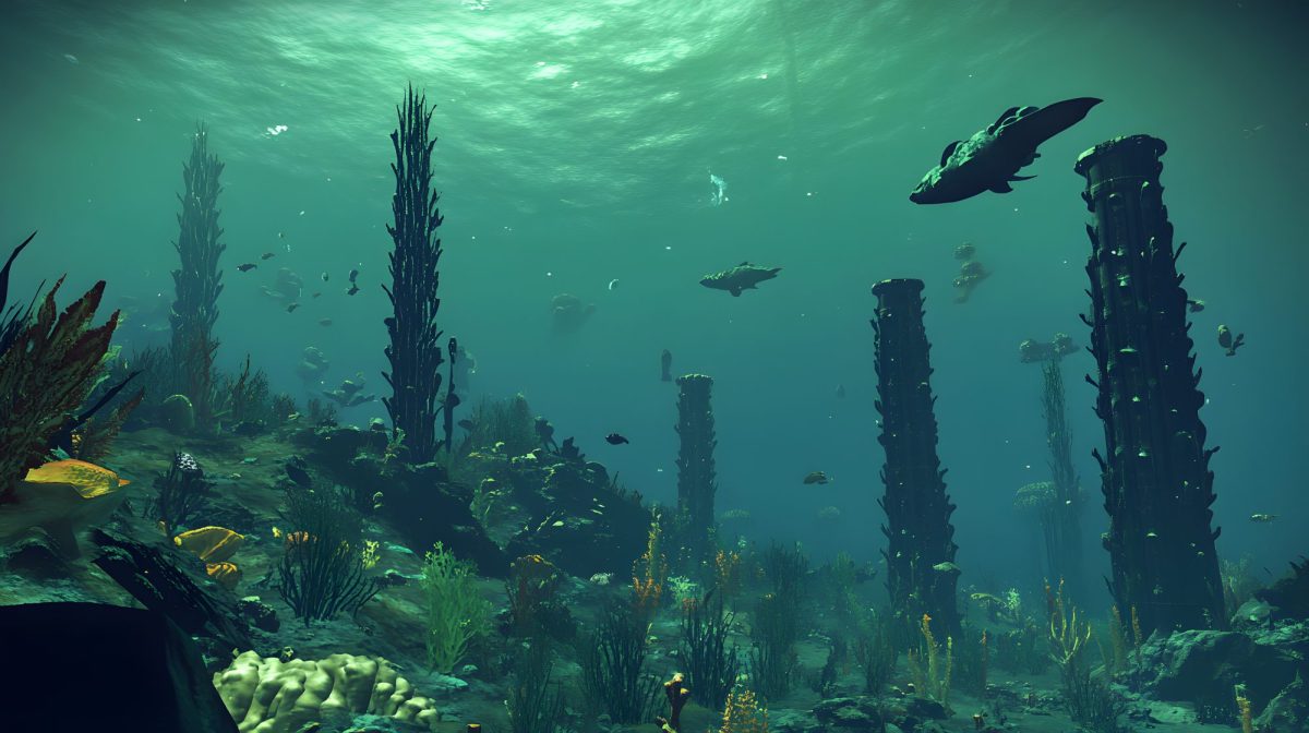 Unterwasserwelt mit Fischen und Algen