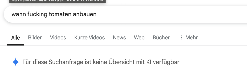 Screenshot einer Google-Suche