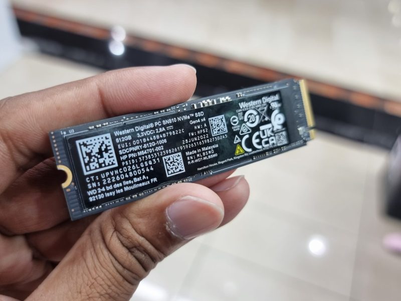 Person hält SSD von WD Black in der Hand.