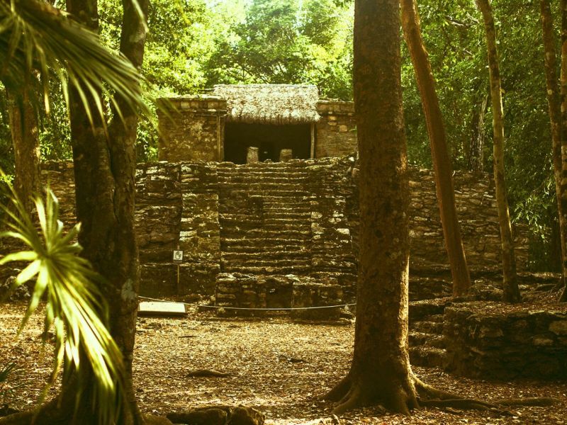 Alter Tempel im Urwald.