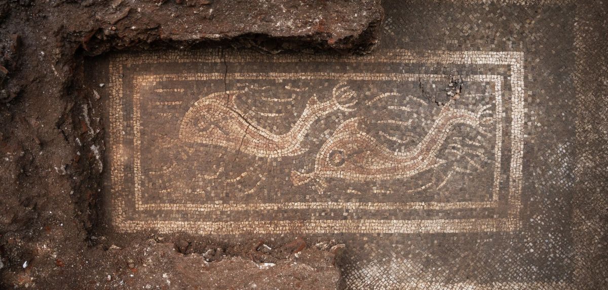 Ein archäologischer Fund in Oberösterreich.