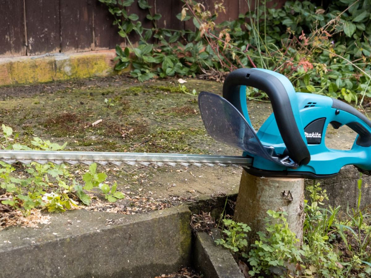 Eine Makita-Akku-Heckenschere auf einem Baumstumpf.